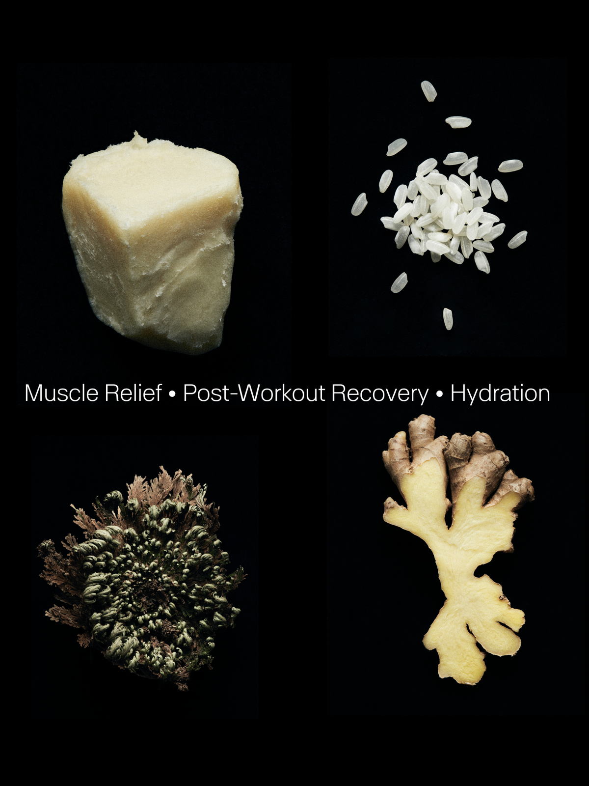 Recovery Kit